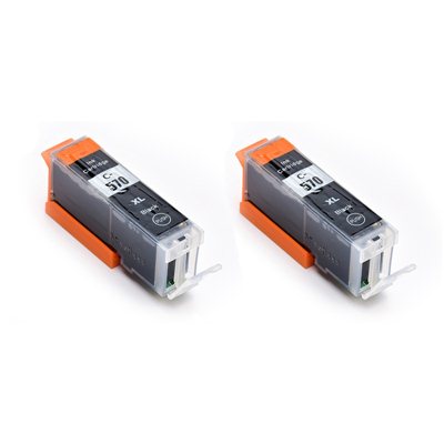Комплект чернил Canon PGI-570BK XL 2шт Чёрный, аналог