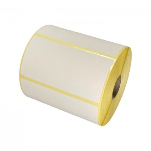Zebra 87000 102mm x 50mm termopaberist etiketid 25 mm südamikuga, Dore