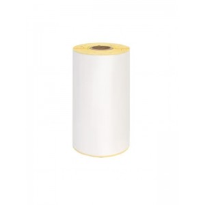 Zebra 3005281-T 102mm x 152mm termopaberist etiketid 19 mm südamikuga, Dore